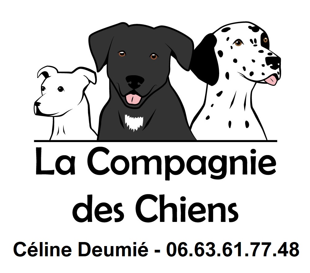 éducateur canin comportementaliste